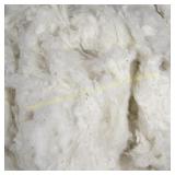 Organic Raw Cotton Fiber - USA Grown