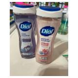 2pk Dial body wash 16oz