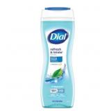 2 ct. Dial Spring Water Body Wash, 16 oz