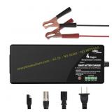 ULTRAPOWER 14.6V LiFePO4 Battery Charger
