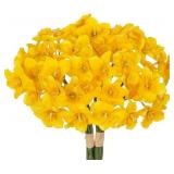 Briful 18 Stems Daffodils Artificial Flowers