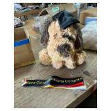 WEIGEDU Graduation Dog, Missing diploma in mouth