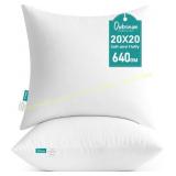 Oubonun 20x20 Throw Pillow Inserts (2)