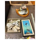 Mounted Fish Head, Shells, Fush Pics