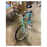 Trek bike with basket