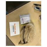 Artificial blonde wig W/ wig cap
