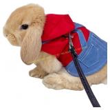 Small Pet Rabbit Clothes Ferret Hoodie Set