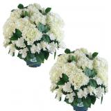 Artificial Hydrangea Bush - 20" Faux Plant