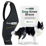 Ortocanis Right Hind Leg Knee Brace (XL)