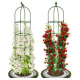 Garden Obelisk Trellis, 71" Plant Support