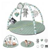 Blissful Diary Baby Play Gym Mat with 6 Toys