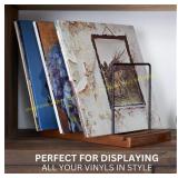 Vinyl Record storage