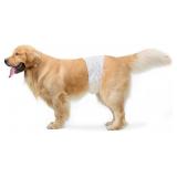 Amazon Basics Male Dog Diapers, 30 Count