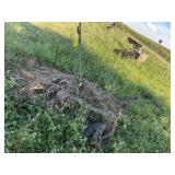 JohnDeere rear mount sickle  mower
