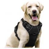 rabbitgoo No-Pull Dog Harness, Large Dogs Vest