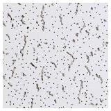 7 ct. USG Ceilings 2x4 Fifth Ave White Tile (8box)