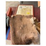 Deer skin, Dubuque county map