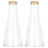 Magic Season Glass Bottles with Cork (2)