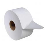 ADVANCED MINI JUMBO BATH TISSUE ROLL 2PLY