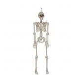 Halloween Posable Skeleton D cor, 36 in