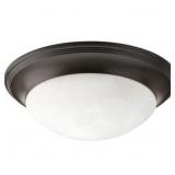 Progress Lighting Canyon Ridge 3-Light Mount
