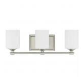 Darlington 20.88 in. 3-Light Vanity Light