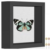 2pk Califortree 10x12in Shadow Box Frame