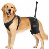 CHAMIN Dog Hip Brace for Dysplasia (XL)