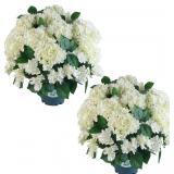Artificial Hydrangea Bush - 20" Faux Plant