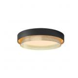 19.69 in. 38W Black LED Flush Mount