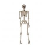 Halloween Posable Skeleton Decoration, 60 in