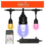 Smart Black 12 Light 24 ft LED String Light