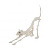 Halloween Skeleton Cat D cor