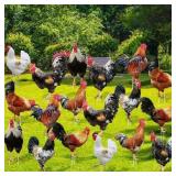 Yuntau 18 Pcs Chicken Rooster Yard Signs