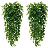 Sggvecsy 8 Pack Hanging Plants Eucalyptus