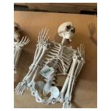 36" Halloween skeleton