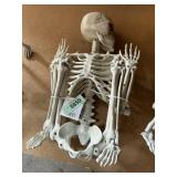 36" Halloween skeleton