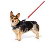 No Pull Comfort Harness - M, SMALL BLUE Harness