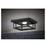 Mauvo Canyon 12 in. Black LED Light
