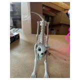 Halloween skeleton CAT