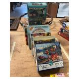 9ct Assorted Puzzles