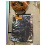 Unknown phantom costume