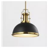 Jonathan Y Homer 13in Black/Gold Pendant LED