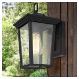1-Light Outdoor Lantern Sconce Light