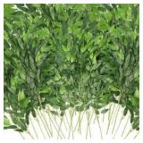 Italian Ruscus Greenery for Home Decor