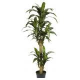 Nearly Natural Yucca Silk Plant, 5-Ft Green