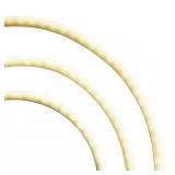 EcoSmart 16.4 ft LED Outdoor Rope Light