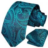 HISDERN Paisley Tie & Pocket Square Set