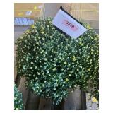Yellow Mum