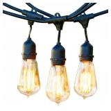 Ambience Pro 15-Light 48 ft Edison Bulb Lights